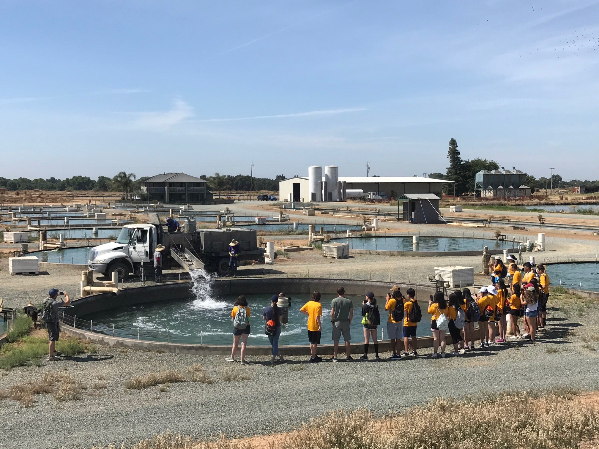 Ever wonder how sturgeon are moved on a White Sturgeon aquaculture farm